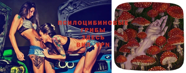 трава Бронницы