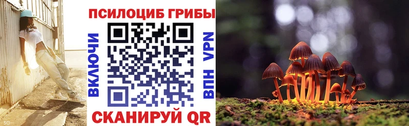Галлюциногенные грибы MAGIC MUSHROOMS  Новоуральск 
